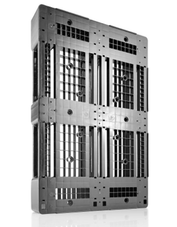 D1 ECO