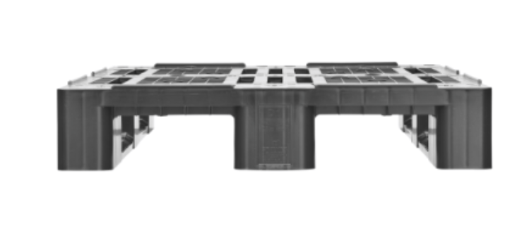 D1 ECO